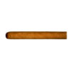 Tompus Bundle Selection Petit Corona
