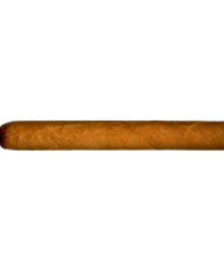 Tompus Bundle Selection Petit Corona