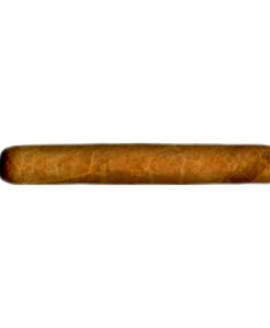 Tompus Bundle Selection Robusto