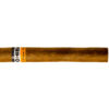 Tompus Cohiba Siglo II