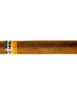 Tompus Cohiba Siglo IV