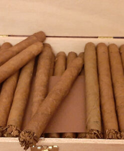 CANDELIGHT KORONA PETIT